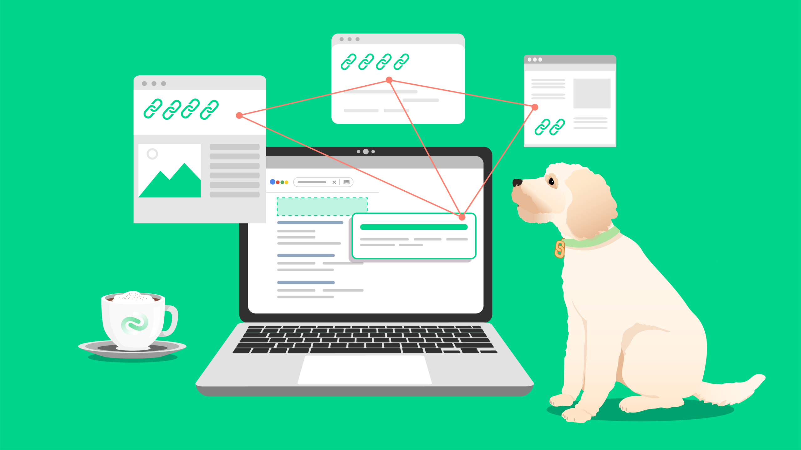 link network